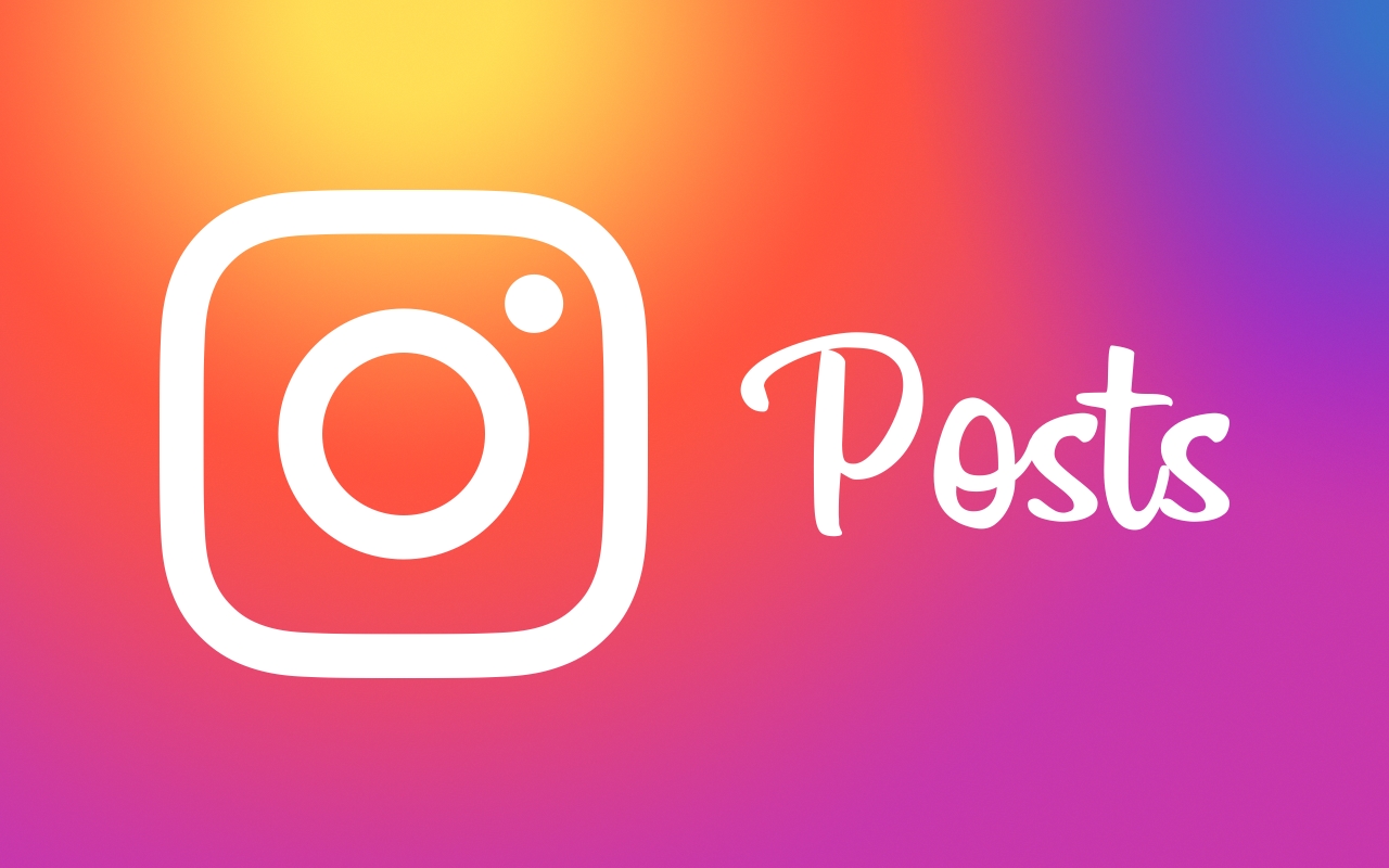 Instagram logo with the word 'posts' on its right.